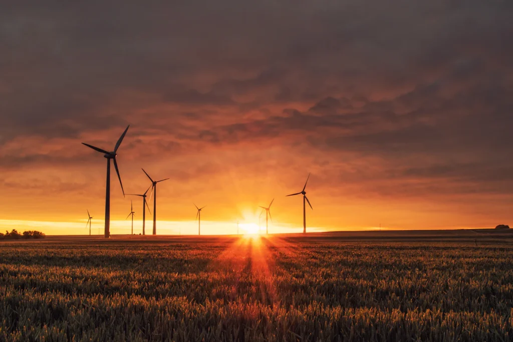 Wind turbines at sunset — energy infrastructure